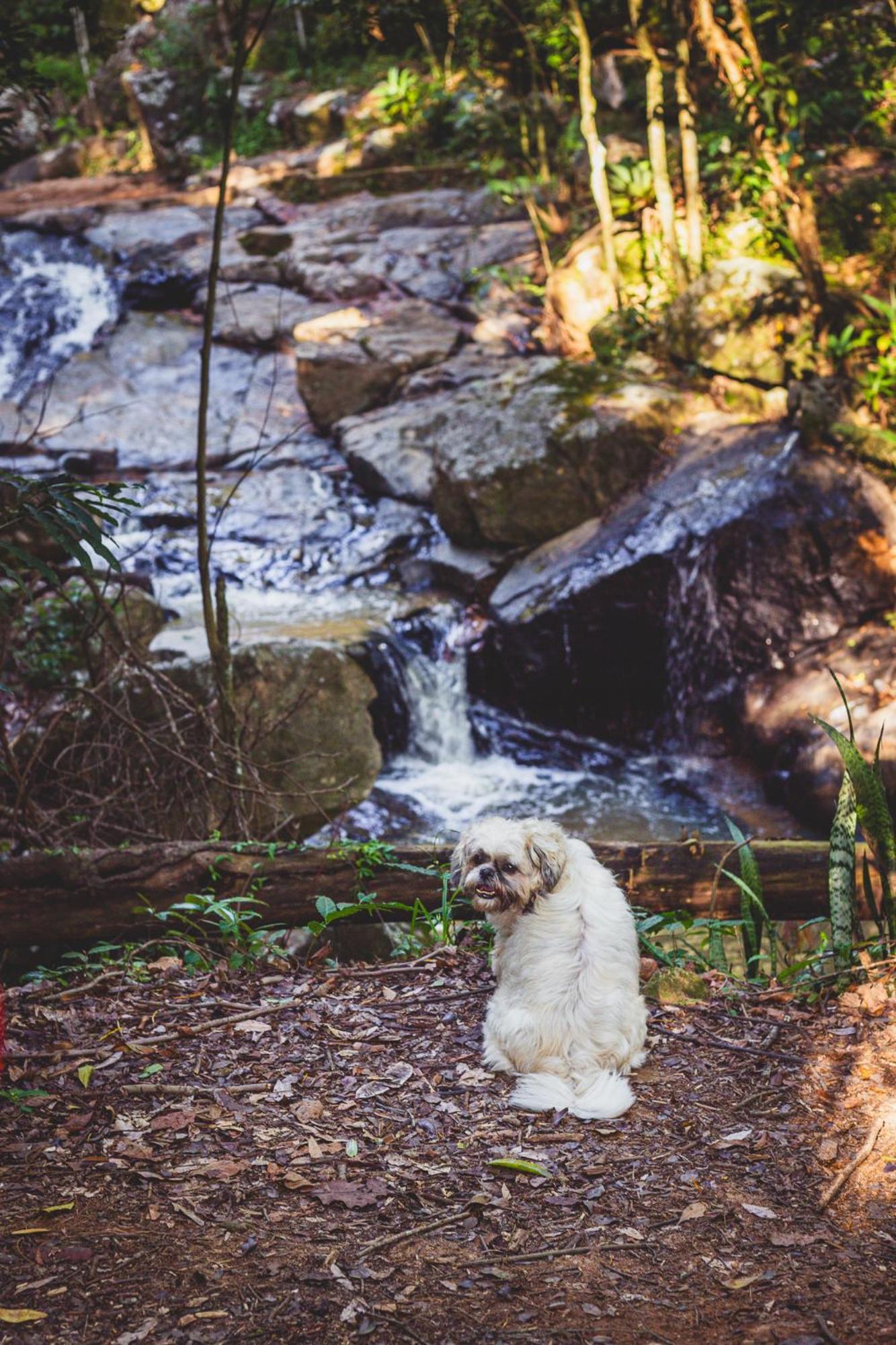 Vila Quinta Da Bocaina Amparo  Exteriér fotografie